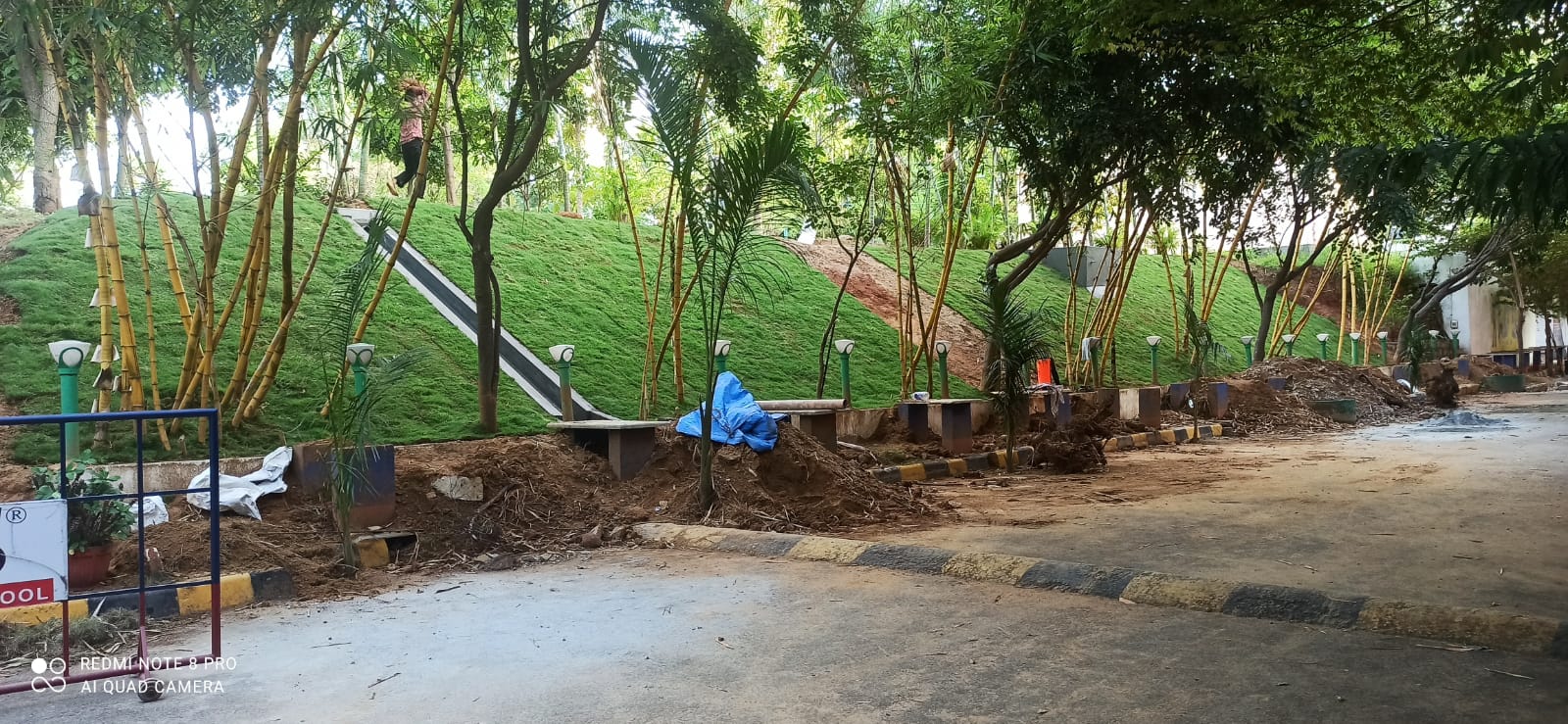 Mexican Lawn Installation In Sloped Area At School
